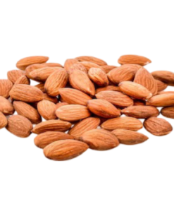 Lorem Ipsum is simply dummy 8